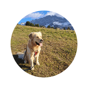 Coaching | L'Éclat de Joie